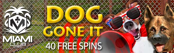 doggoneit40fs