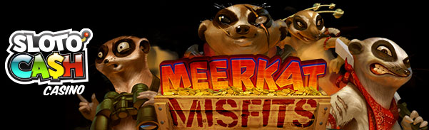 meerkatmisfits